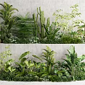Diverse Green Plants Including Ferns Cacti And Palms Arranged In Layers For Indoor Decor