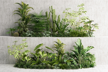 modern plant group plant combination garden plant cluster tropical plant combination landscape plant 3d model