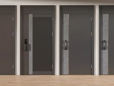 Modern Security Doors with Electronic Locks and Vertical Stripe in Different Styles 3d model