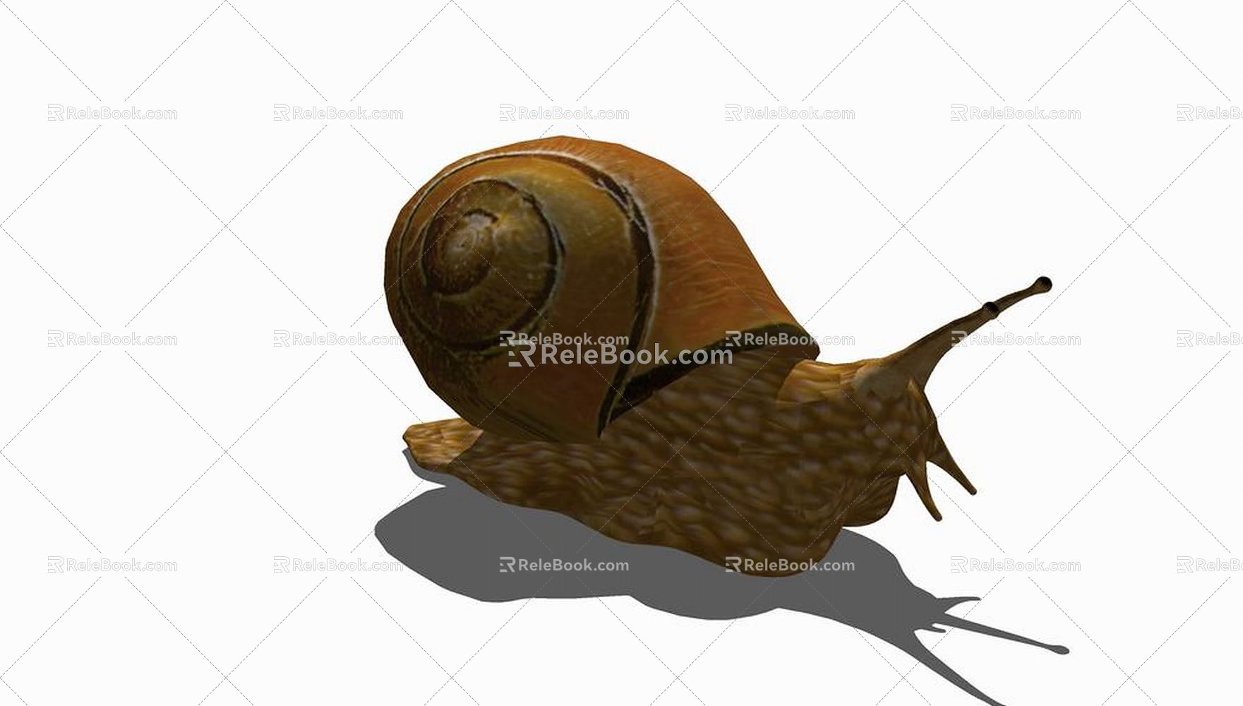 Modern Snail Animal Snail 3d model