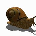 Modern Snail Animal Snail 3d model