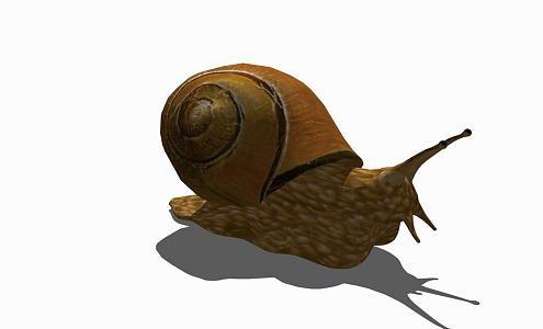 Modern Snail Animal Snail 3d model