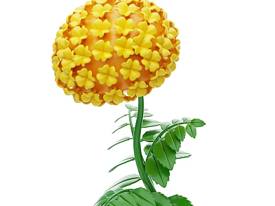 Vibrant Yellow Spherical Flower Plant With Green Stem And Fresh Leaves 3d model