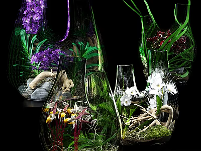Decorative Ornament Sets Featuring Glass Vases Various Plants Purple And White Orchids 3d model