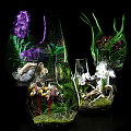 Decorative Ornament Sets Featuring Glass Vases Various Plants Purple And White Orchids
