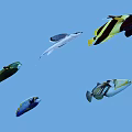 Colorful Aquatic Fish In Blue Background Featuring Flying Fish And Tropical Species