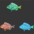 Fish Freshwater Fish Sea Fish Animal Game Animal Cartoon Animal Realistic Animal 3d model