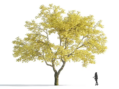 Beautiful Arbor With Golden Leaves And A Person Standing Nearby 3d model
