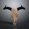 Decorative Ox Skull With Black Horns And Beige Body For Home Interior Decor