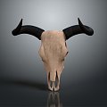 Beast Head Antelope Skull Sheep Skull Decorations Animal Bone Item Cow Skull 3d model