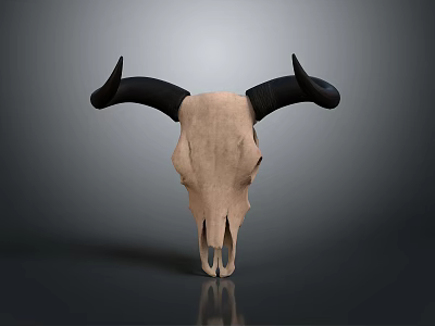 Decorative Ox Skull With Black Horns And Beige Body For Home Interior Decor 3d model