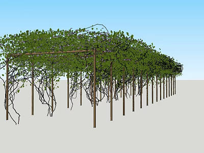 Lush Green Vine Covered Wooden Pergola Structure With Dense Foliage And Support Poles 3d model