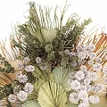 Artistic Natural Decorative Ornaments Arrangement With Green Fan Leaves White Clustered Blooms And Feathery Grass