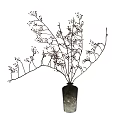 Rustic Vase With Black Branches And Small Red Berries Interior Decoration