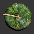 Fresh Green Yellow Spotted Melon with Brown Stem on Black Surface