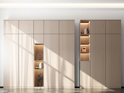 Modern Wooden Wardrobe Interior With Built in Shelves And LED Lighting 3d model