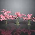 Three Pink Flowering Trees With Green Trunks On Grey Background And Ground Reflections