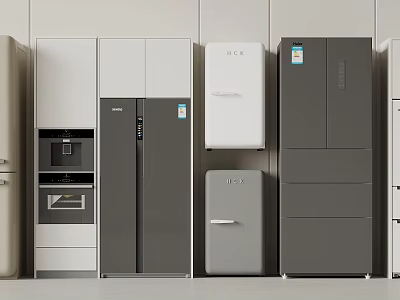 Different Designs Refrigerators and Freezers in Gray White Silver Double Single Door Styles 3d model