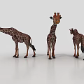 3D Giraffe Model With Brown White Spots Standing In Realistic Pose