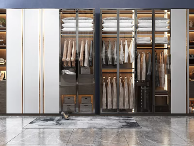 Modern Wardrobe Design With Glass Doors Hanging Area And Folded Items 3d model