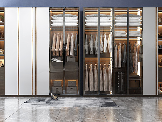 Modern wardrobe 3d model