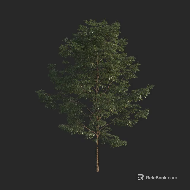 Lush Green Arbor With Dense Foliage And Strong Straight Trunk 3d model