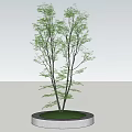 Arbor with Green Leaves Dark Trunk Circular White Base and Green Lawn