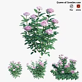 Charming Garden Ornament Featuring Pink Roses and Lush Green Leaves