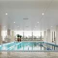 Modern Pool Front Desk Pool 3d model