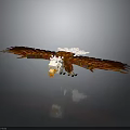 Flying Eagle with spread wings and white feathered head in gray gradient background with reflection
