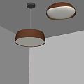 Modern Round Brown Ceiling Lights With Soft Light And Metal Base Design 3d model