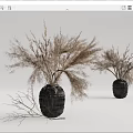 Two Black Woven Vases With Dried Grasses For Minimalist Home Decor