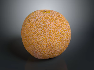Fresh Ripe Whole Cantaloupe Melon with Orange Netted Skin on Dark Background 3d model