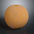 Fresh Ripe Whole Cantaloupe Melon with Orange Netted Skin on Dark Background