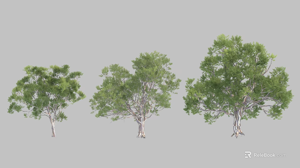 Green Arbor Trees With Lush Foliage And Various Trunk Shapes 3d model