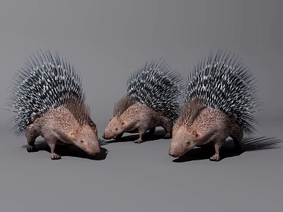 modern animal hedgehog 3d model modern animal hedgehog 3d model