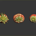 Fresh Ripe Strawberries With One Cut Half Floating On Dark Background