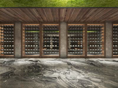 Modern Wine Cellar Wine Cabinet Wine Room 3d model