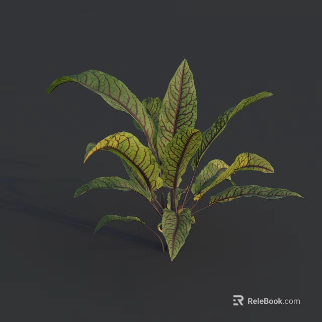 Vibrant Green Leaf Vegetable Plant With Fresh Healthy Lush Organic Foliage Growth 3d model 