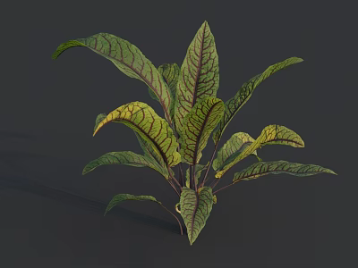 Vibrant Green Leaf Vegetable Plant With Fresh Healthy Lush Organic Foliage Growth 3d model