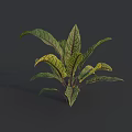 Vibrant Green Leaf Vegetable Plant With Fresh Healthy Lush Organic Foliage Growth
