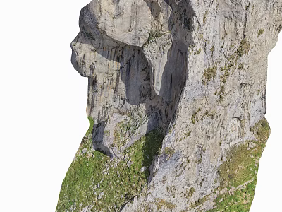 Wood and Stone Materials Featuring Natural Texture in Green Vegetation Landscape with Rough Surface 3d model