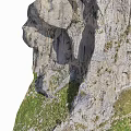 Wood and Stone Materials Featuring Natural Texture in Green Vegetation Landscape with Rough Surface