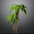 Realistic 3D Palm Trees With Lush Green Leaves And Textured Trunks