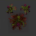 Vibrant Plants With Purple Blooms Green And Red Striped Leaves Brown Pot And Red Fragments
