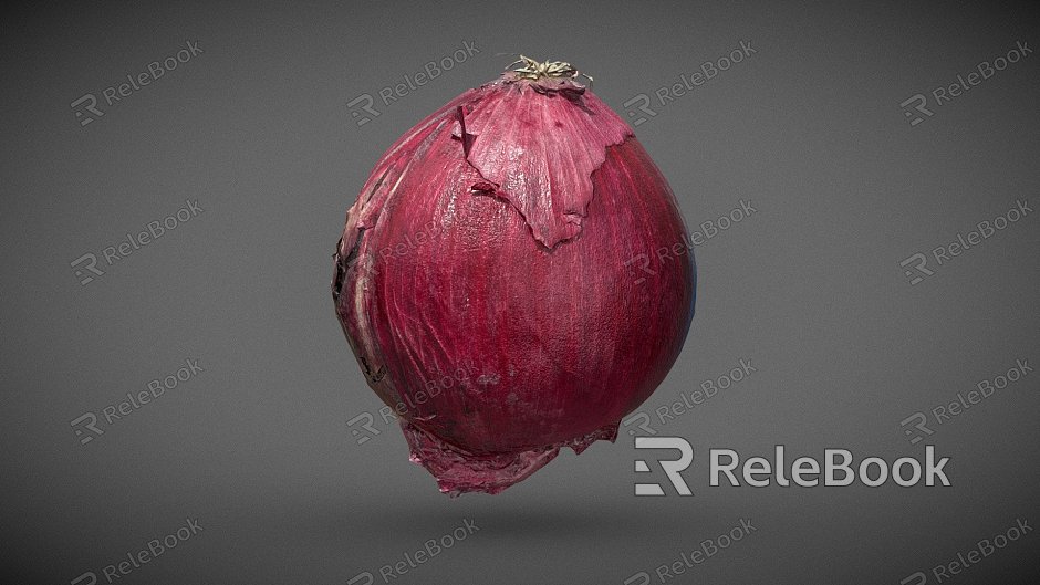 onion food vegetables model