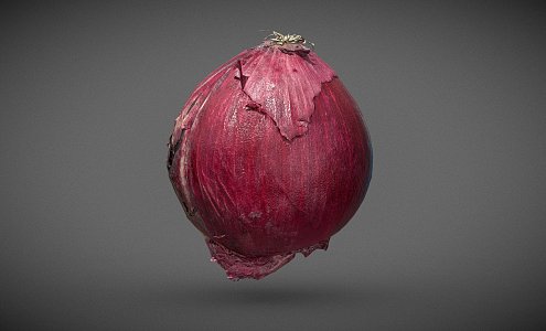 onion food vegetables 3d model