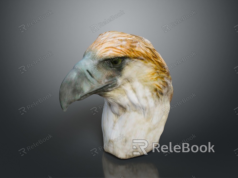 Eagle Large Eagle Owl Raptor Falcon Bird Bird Bird Animal Game Animal model