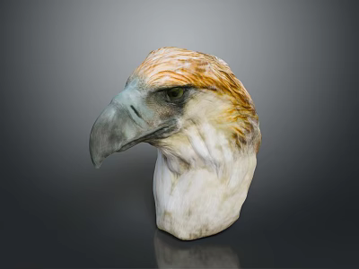 Realistic Eagle Head Sculpture Featuring Yellow And White Feathers With Grey Beak Detail 3d model