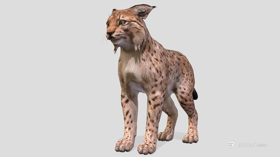 Wild Lynx With Spotted Fur And Tufted Ears In Standing Position 3d model 